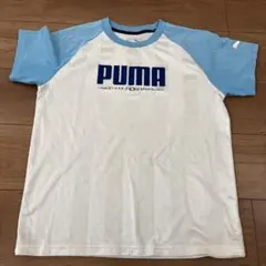 PUMA ラグランTシャツ ホワイト/ライトブルー 1.80 サイズ160