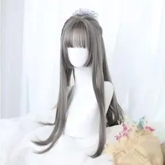 H02灰 ウィッグ ロング ストレート 姫髪 姫カット 日常 原宿 ロリー