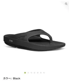 Item thumbnail for item 982234a0-6efc-43f7-9b8b-1b654e95dc25