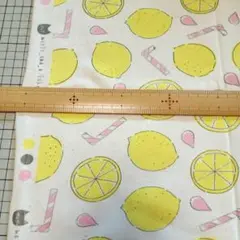 maple_and_a fabric 裏毛ニット ニット生地(D8)