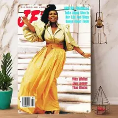 15-Aretha Franklin アレサ・フランクリン メタルポスター