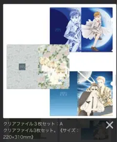 輝夜姫　清水玲子　クリアファイル