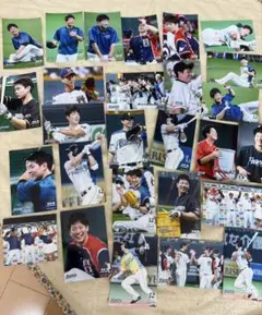 松本剛 日本ハムファイターズ 2017～ 2018　ハイライトフォト