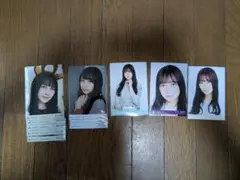 Item thumbnail for item 80fa48e3-fe0d-4c3b-aaeb-b4b62fd926e5