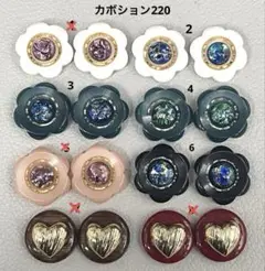 ボタンカボション220② 2/28
