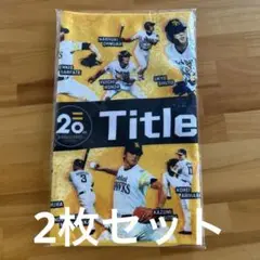 福岡ソフトバンクホークス タイトルホルダー 20周年記念 タオル