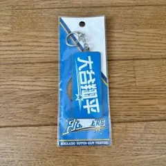 北海道日本ハムファイターズ　大谷翔平 ミラーキーホルダー