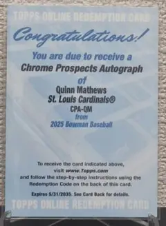 【未使用】quinn mathews
