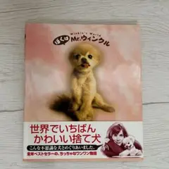 ぼくはMr.ウィンクル 本