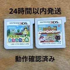 3DS とびだせ どうぶつの森　ハッピーホームデザイナー