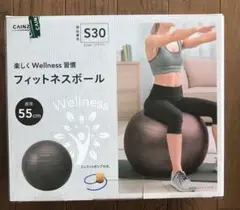 カインズ　CAINZ　フィットネスボール　バランスボール