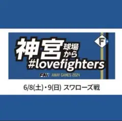 【神宮】ファイターズ ビジター応援タオル