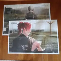 Fate/Grand Order 新聞広告　2枚