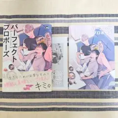 「パーフェクトプロポーズ」 鶴亀まよ 初版 帯付き アニメイト特典 リーフレット