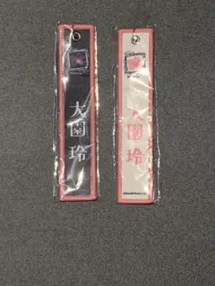 櫻坂46 大園玲　ネームタグ キーホルダー　2種セット(黒　白)