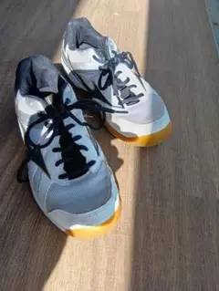 ミズノ Mizuno インドアシューズ 25cm 送料込み