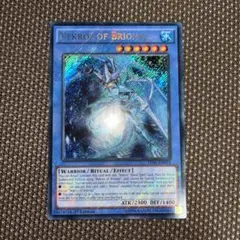 m83248583048_1.jpg?1706949231