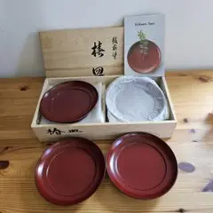 【未使用】越前漆器 椿皿（木箱入り） 越前塗り 5枚 古代朱シリーズ