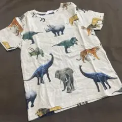 H&M 動物プリント Tシャツ US 8/10 130 恐竜