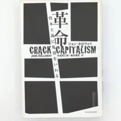 革命資本主義に亀裂をいれる