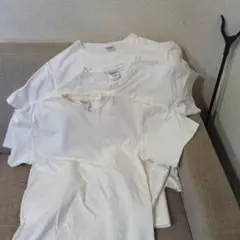 キャンバースペシャルエディションSIZEＳ3枚セット