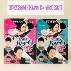 ずる賢いバツイチの恋　DVD全巻セット　全12巻　韓流/韓国ドラマ