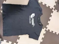 Item thumbnail for item 7a4113c3-9a75-47f0-8cec-834b97443ee6