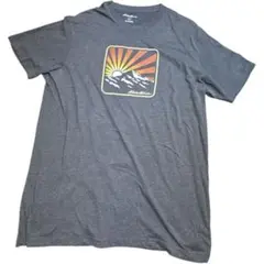 エディーバウアー アメカジ グラフィックTシャツ L ダークグレー