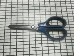 Item thumbnail for item 0c138414-f599-475a-a1b9-260b0b9af931