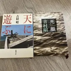 天に遊ぶ　死顔