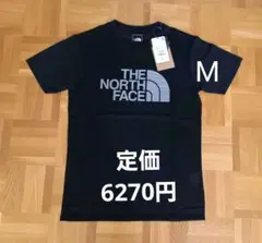 《メッシュ生地》THE NORTH FACE ベントロゴクルー サイズM
