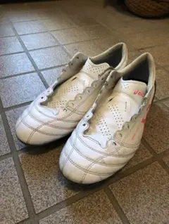 asics DS light x-fly4