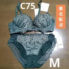 ★614【新品未使用】運命のブラ ブラジャーC75ショーツМ ⑥ チュチュアンナ
