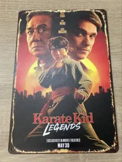映画『ベスト・キッド：レジェンズ』ブリキ看板 メタルサイン ヴィンテージ 成龍