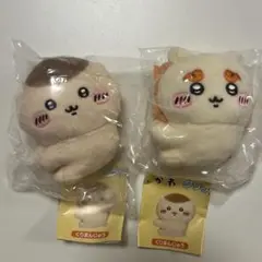 Item thumbnail for item 2d5bf3aa-70b5-4555-9613-b3e9096c541a