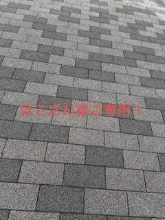 ほこさん様おまとめ2点