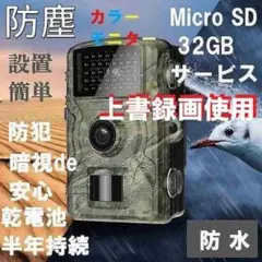 Item thumbnail for item 51c07ef1-441b-468b-b6af-942d5343e9eb