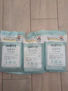 Item thumbnail for item 5acf84cd-7bf0-4662-93d1-e88f8c424c03