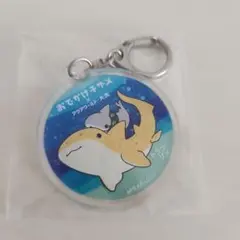 おでかけ子ザメ アクアワールド大洗水族館　トラフザメ