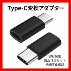 新品・未使用 Lighting to Type-C変換アダプター 黒