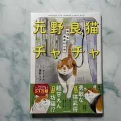 元野良猫チャチャ 本日も見まわり中