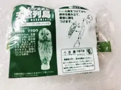 未使用　わがままな天然列島　大地の動物　フクロウ　海洋堂　フィギュア