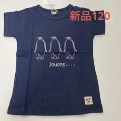 新品KUTペンギンTシャツ ネイビー120cm 水族館 海の生き物