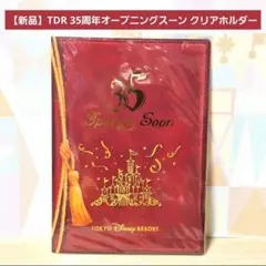 【新品】TDR 35周年 オープニングスーン ダブルポケットクリアホルダー