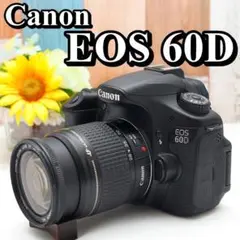 Item thumbnail for item d1fba5f6-da91-4f2d-b6d6-189322647035
