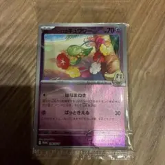 リーリエのキュワワー　未開封