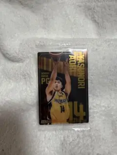 Item thumbnail for item 3338a0a3-8f49-4bdc-af06-d793256af135