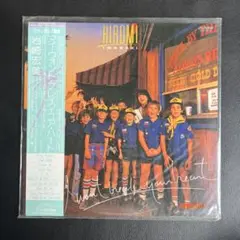 岩崎宏美 I won't break your heart レコード