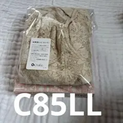 Item thumbnail for item 41d7fcb2-455b-4b89-aa92-a2b03425c21c