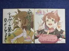 ウマ娘プリティーダービー 新時代の扉 特典色紙 ポッケ ダンツ